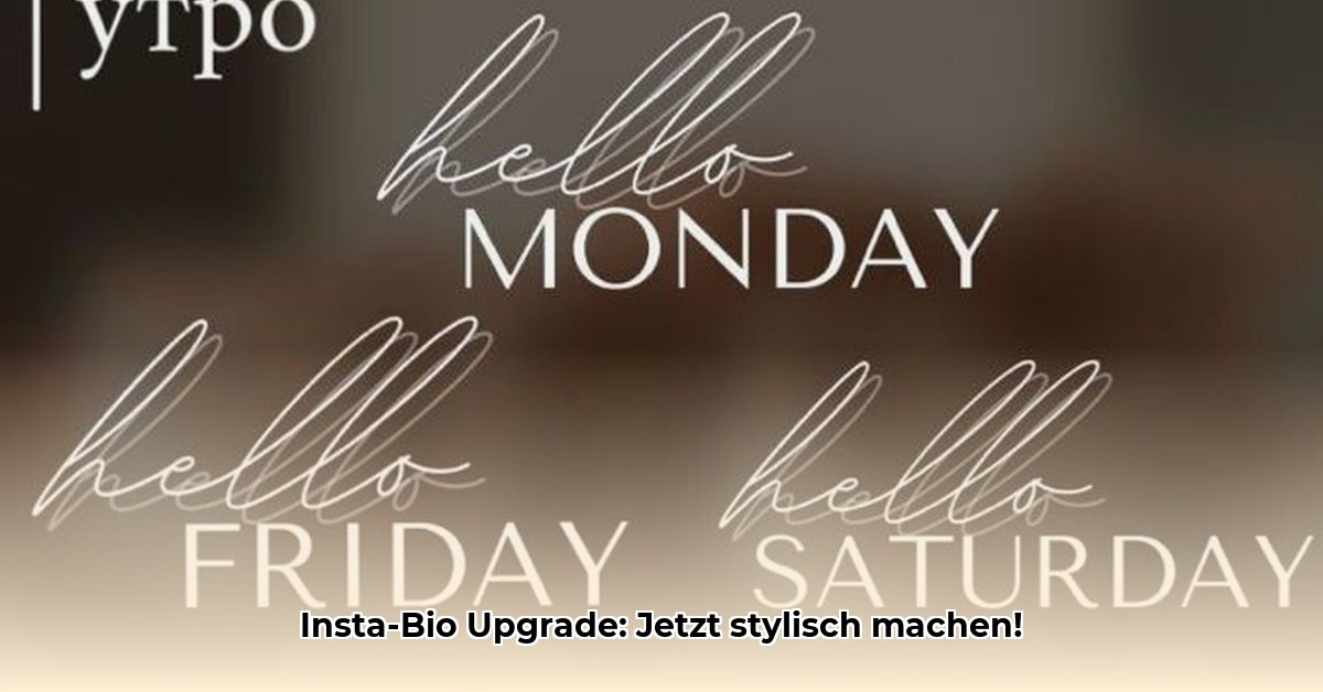 insta-fonts